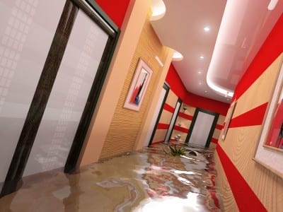 Pocka Dola Carpet Flood Damage Melbourne